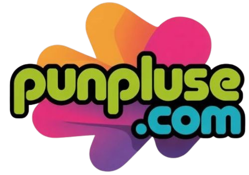 punpluse.com