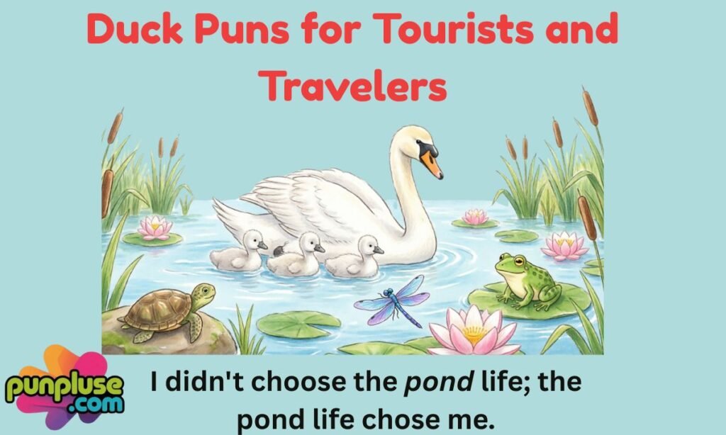 Duck Puns for Tourists and Travelers