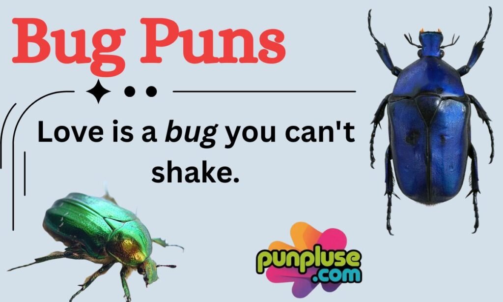 Bug Puns
