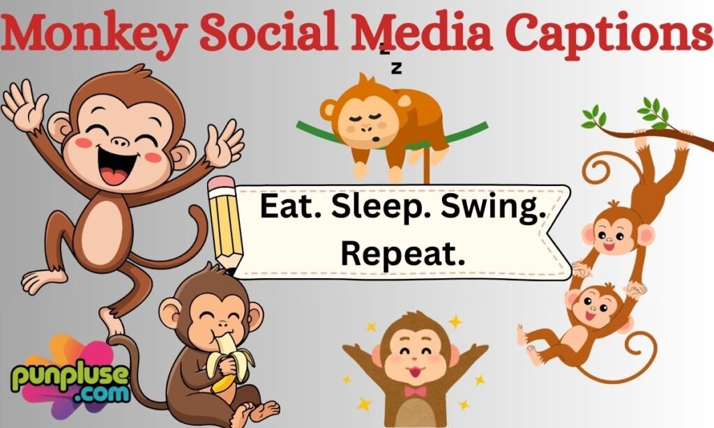 Monkey Social Media Captions