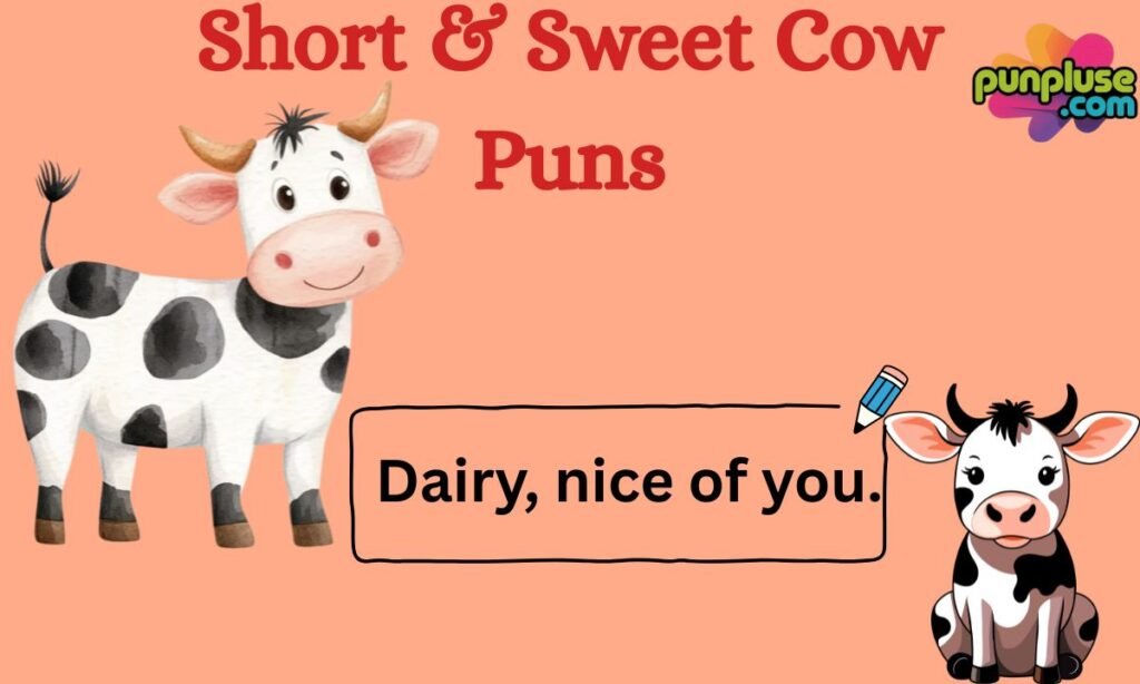 Short & Sweet Cow Puns