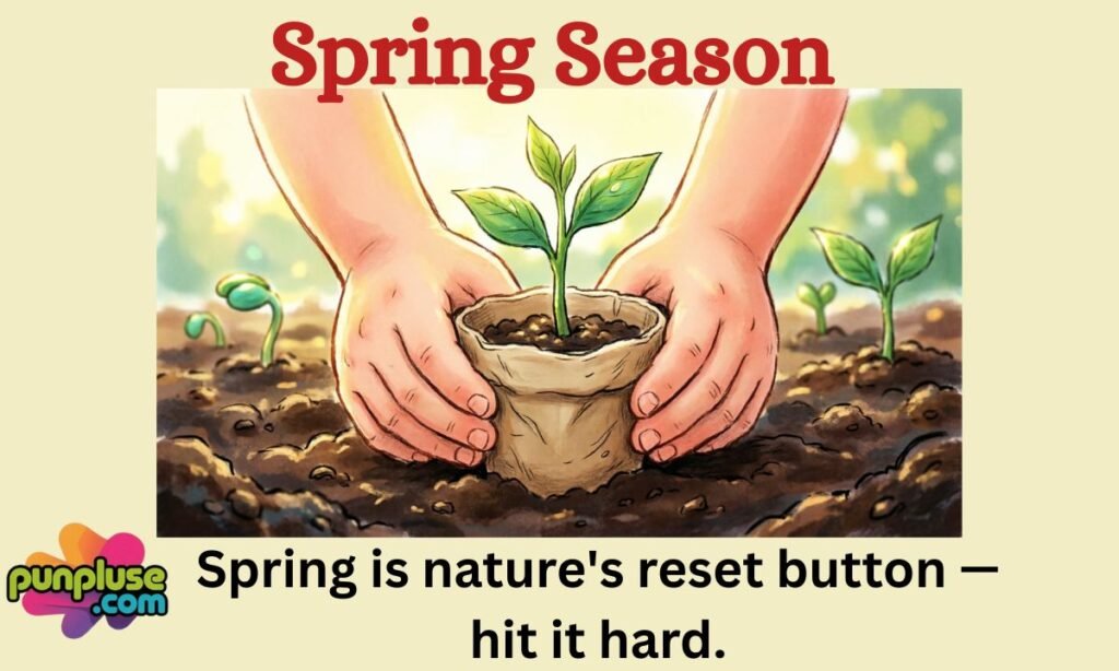 Spring Season