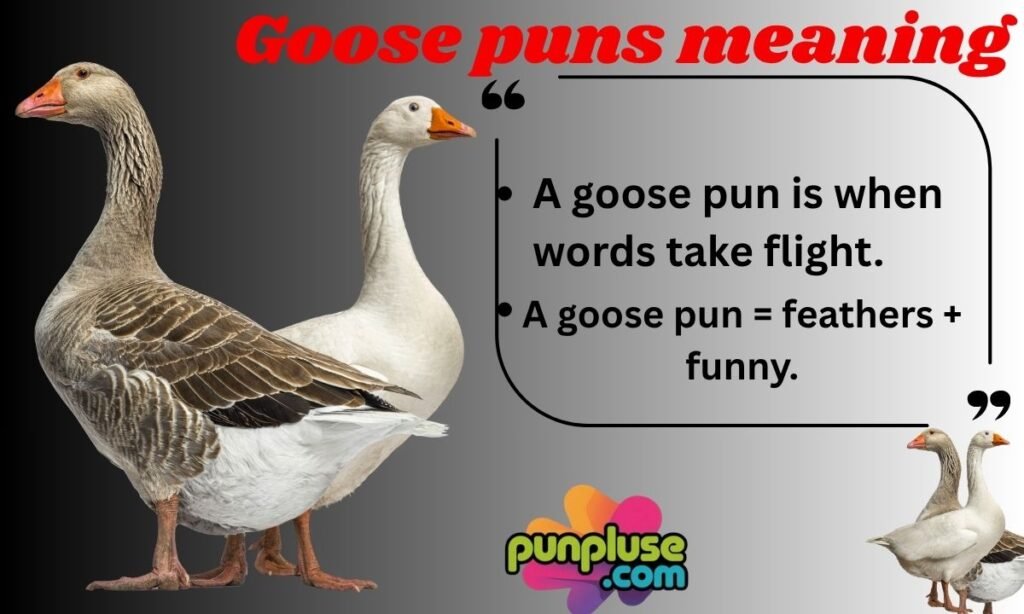 Goose puns meaning